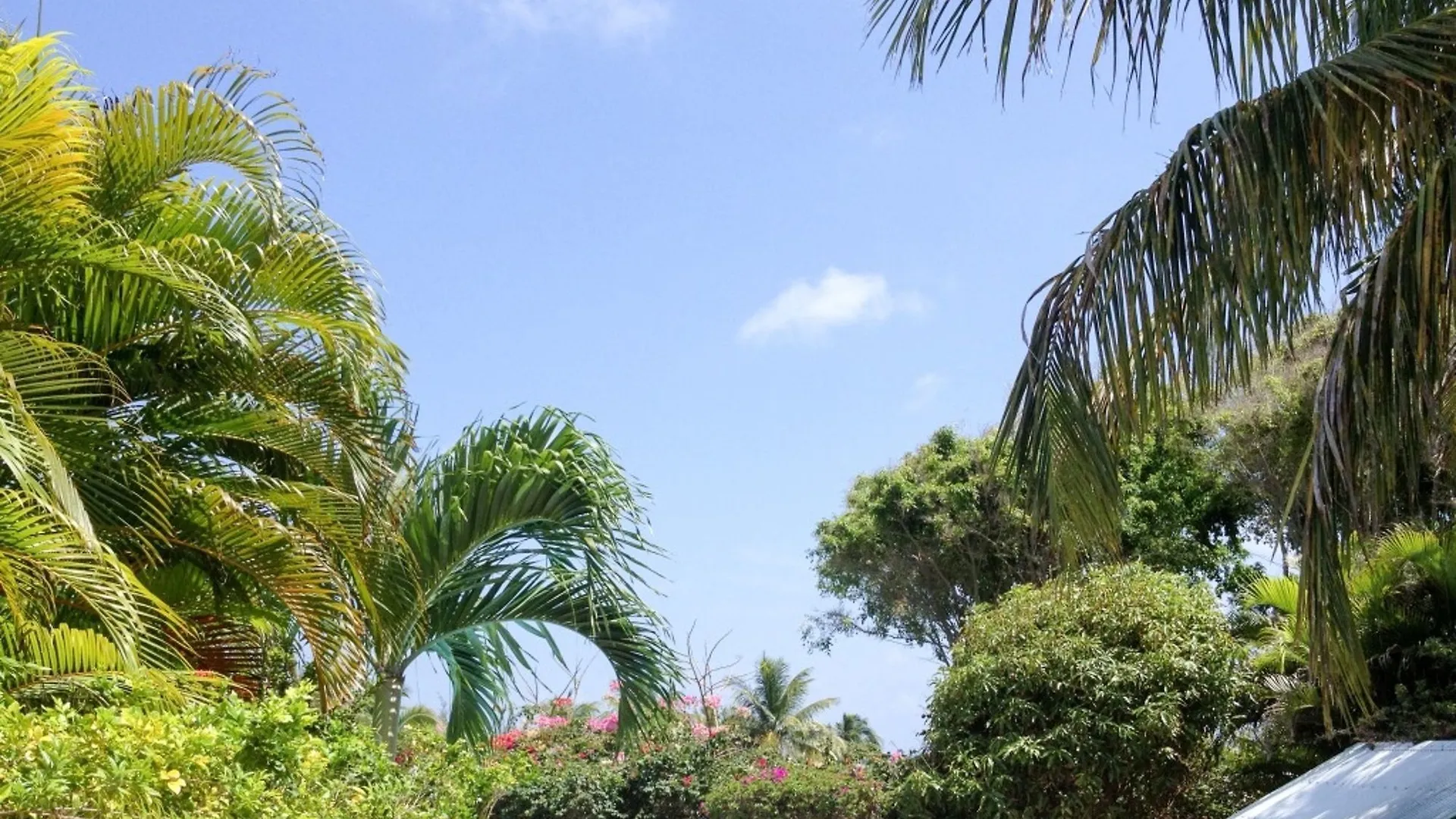 Villa With 3 Bedrooms In Saint-Francois, With Private Pool, Enclosed G contacts